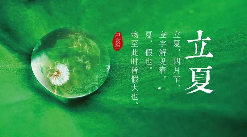 【启德·凯丽】立夏 | 草长莺飞季,绿肥红瘦,装修正忙时!